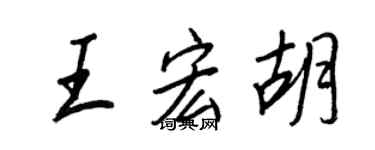 王正良王宏胡行书个性签名怎么写