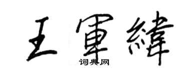 王正良王军纬行书个性签名怎么写