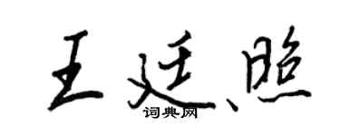 王正良王廷照行书个性签名怎么写