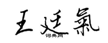 王正良王廷气行书个性签名怎么写