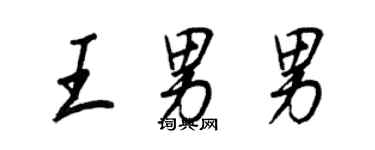 王正良王男男行书个性签名怎么写