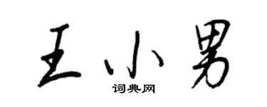 王正良王小男行书个性签名怎么写
