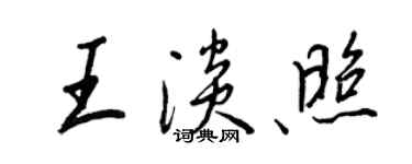 王正良王淡照行书个性签名怎么写