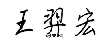 王正良王羿宏行书个性签名怎么写