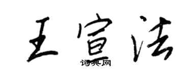 王正良王宣法行书个性签名怎么写