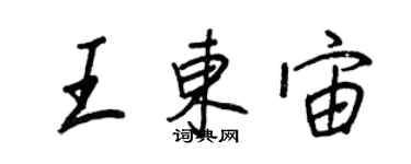 王正良王东宙行书个性签名怎么写