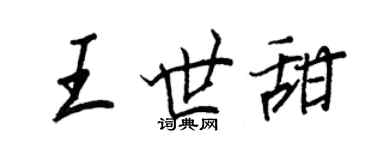 王正良王世甜行书个性签名怎么写