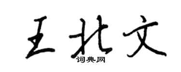 王正良王北文行书个性签名怎么写