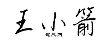 王正良王小箭行书个性签名怎么写
