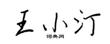 王正良王小汀行书个性签名怎么写