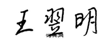 王正良王翌明行书个性签名怎么写