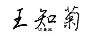 王正良王知菊行书个性签名怎么写