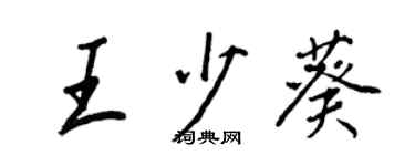 王正良王少葵行书个性签名怎么写