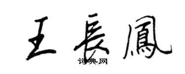 王正良王长凤行书个性签名怎么写