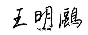 王正良王明鸥行书个性签名怎么写