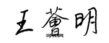 王正良王荟明行书个性签名怎么写