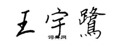 王正良王宇鹭行书个性签名怎么写
