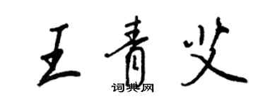 王正良王青艾行书个性签名怎么写