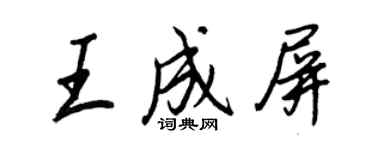 王正良王成屏行书个性签名怎么写