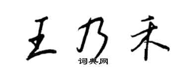 王正良王乃禾行书个性签名怎么写