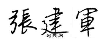 王正良张建军行书个性签名怎么写
