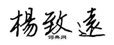 王正良杨致远行书个性签名怎么写