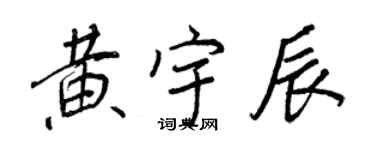王正良黄宇辰行书个性签名怎么写