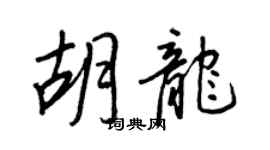 王正良胡龙行书个性签名怎么写