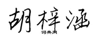 王正良胡梓涵行书个性签名怎么写