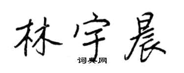 王正良林宇晨行书个性签名怎么写