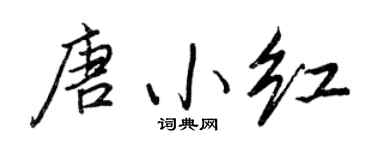 王正良唐小红行书个性签名怎么写