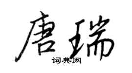 王正良唐瑞行书个性签名怎么写
