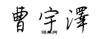 王正良曹宇泽行书个性签名怎么写