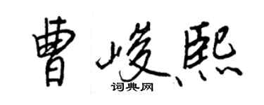 王正良曹峻熙行书个性签名怎么写