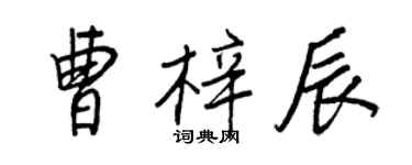 王正良曹梓辰行书个性签名怎么写
