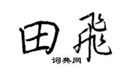 王正良田飞行书个性签名怎么写