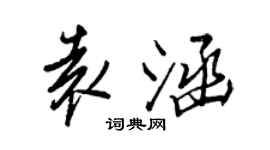 王正良袁涵行书个性签名怎么写