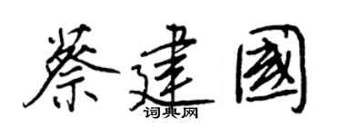 王正良蔡建国行书个性签名怎么写