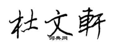 王正良杜文轩行书个性签名怎么写