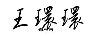 王正良王环环行书个性签名怎么写