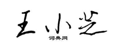 王正良王小芝行书个性签名怎么写
