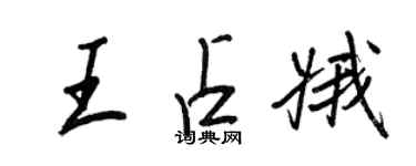 王正良王占娥行书个性签名怎么写