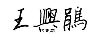 王正良王兴鹃行书个性签名怎么写
