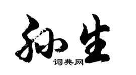 胡问遂孙生行书个性签名怎么写