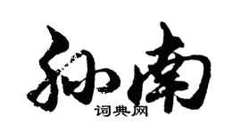 胡问遂孙南行书个性签名怎么写