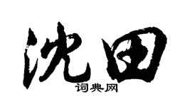 胡问遂沈田行书个性签名怎么写