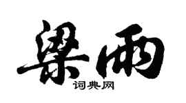 胡问遂梁雨行书个性签名怎么写