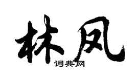 胡问遂林凤行书个性签名怎么写
