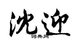 胡问遂沈迎行书个性签名怎么写