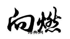 胡问遂向燃行书个性签名怎么写